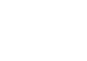 n.W.o