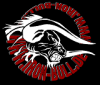 IRONBULL21