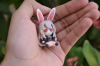 Ruizukirisame
