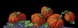 Pumpkins
