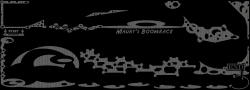 BOOMRACE2