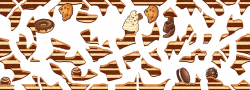 Quickdraw FH 13 Chocolate