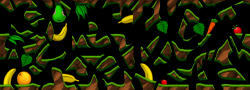 Quickdraw FH 21 FRUIT