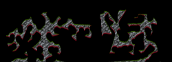 Roper7