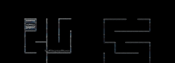 ROPER maze
