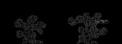 ROPERxLitos
