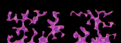 Map13
