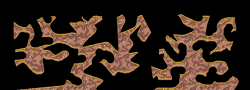 Map50