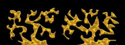 Map68