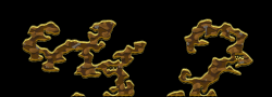 roper vines