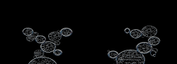 RpBubbleSavon1