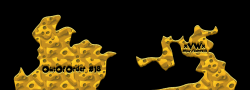 OutOfOrder RandoM18