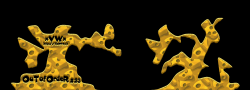 OutOfOrder RandoM23