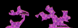 OutOfOrder Random30