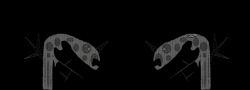 RealFoe rope1