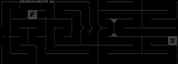 neuro48