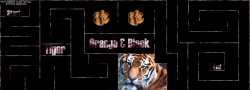 Tiger SiberischeTijger