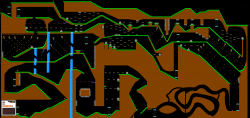 CheetahGrassSSRace