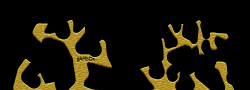 GAMBOA8
