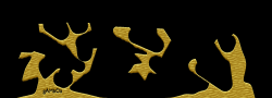 GAMBOA9
