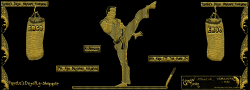 FlyNinjaKickboxing