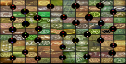 crop circles world-wide