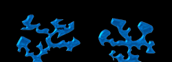 Prodigium