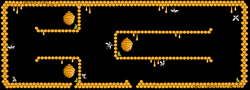 Beehive 12