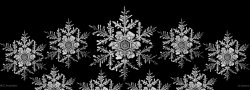 BnG Snowflakes