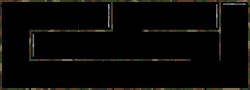 11 w4w
