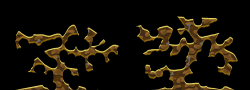 09