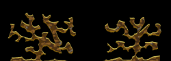31