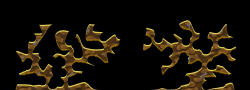 36