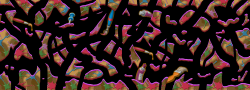 NQd-50