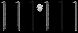 Longcat's Six Shooter