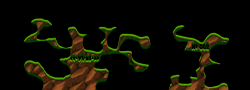 Roper_002