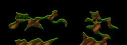 Roper_003