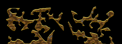 lUxRoper6
