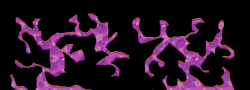 lUxRoper10