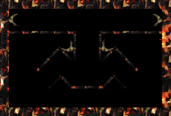 W4W
