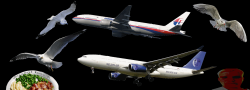 Plane Crazy
