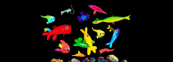 Funky Fish