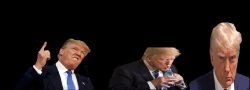 trump map 2