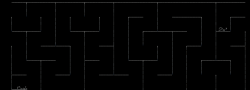 RR19