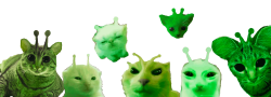 Invasion