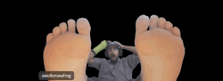 seafrogfix
