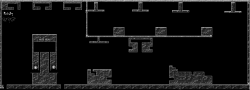black Shoþþer