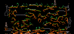 Curtis_-_Forest_Ninja_(_Kaos_)