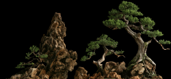 Bonsai_landscape - Drumstick_Rouxdesbois (2520x1176)