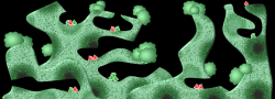 Ratqueen_-_Jade_Caverns